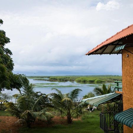 Bundala Flamingo Cotteges Hotel Hambantota Eksteriør billede